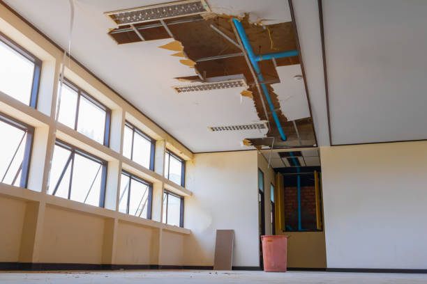 Professional Water damage restoration in New Hampton, IA