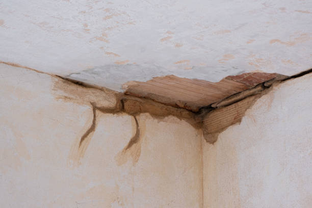 Best Water damage contractors near me  in New Hampton, IA