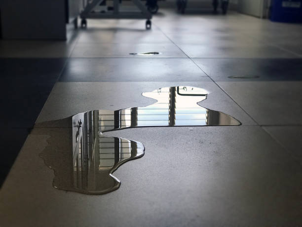 Best Water damage restoration near me  in New Hampton, IA