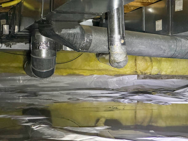 Best Flood restoration services  in New Hampton, IA