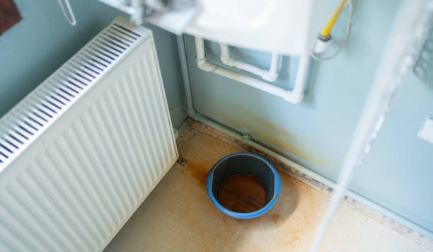 Best Fire Damage Restoration  in New Hampton, IA