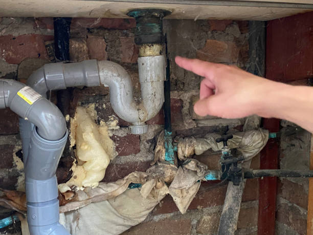 Best Fire Damage Restoration  in New Hampton, IA