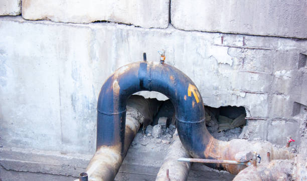 Best Carpet water damage restoration  in New Hampton, IA